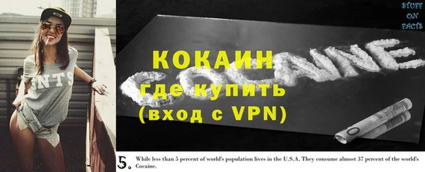 apvp Лиски